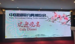 老班长爆料视频,内幕曝光，真相令人震惊！